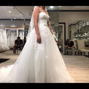 Wedding dress and veil